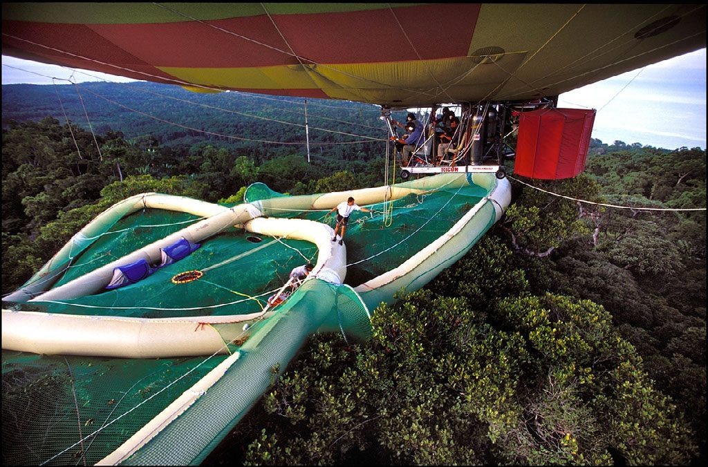A canopy raft resting on the treetops of a rainforest