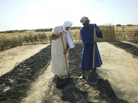 Two men in the Sahel working biochar into a garden bed